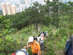 上飛鵝山