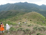 登黃牛山