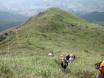登黃牛山