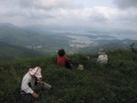 危令敦行友作品