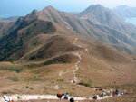 南蛇下山