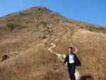 南蛇下山