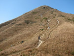 IMG_9685