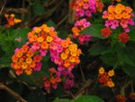 IMG_8084