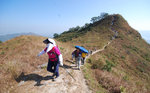 串走群仙列峰