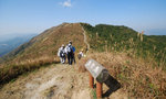 串走群仙列峰
