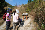 串走群仙列峰