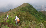 登雀山