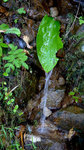 P1050727