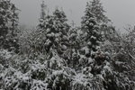 DSC_6860