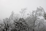 DSC_6955