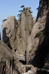 下望步仙橋