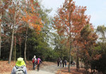 DSCF0133