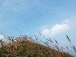 DSCF6347