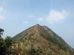 DSCF6351