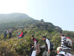 DSCF6937
