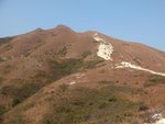 DSCF7206