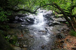 DSCF9579