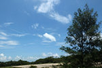DSCF9949