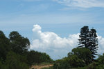 DSCF9957