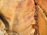 DSCF2507