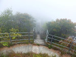 DSCF2777