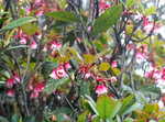 DSCF2789