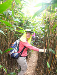 DSCF2796