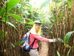 DSCF2797
