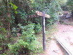 DSCF3490