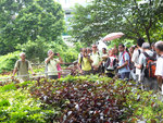 DSCF0005