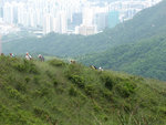DSCF0062