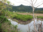 DSCF0810