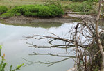 DSCF0811