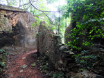 DSCF0823