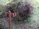 DSCF0824
