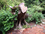 DSCF0827