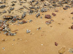 DSCF0847