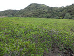 DSCF0848