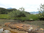 DSCF0865