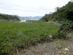 DSCF0867