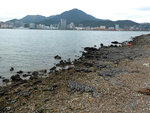 DSCF0870
