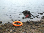 DSCF0871