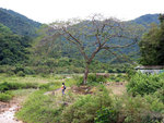 DSCF0930