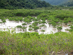 DSCF0933