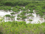 DSCF0935