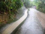 DSCF2295
