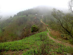 DSCF2431
