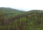 DSCF2442