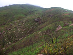 DSCF2444